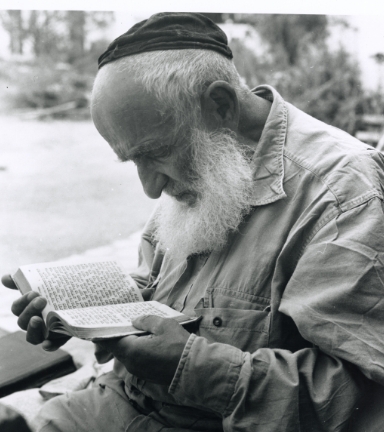 An elderly man reads from a Hebrew book at a JDC-Malben home for the aged. Israel, 1950s - 1960s.